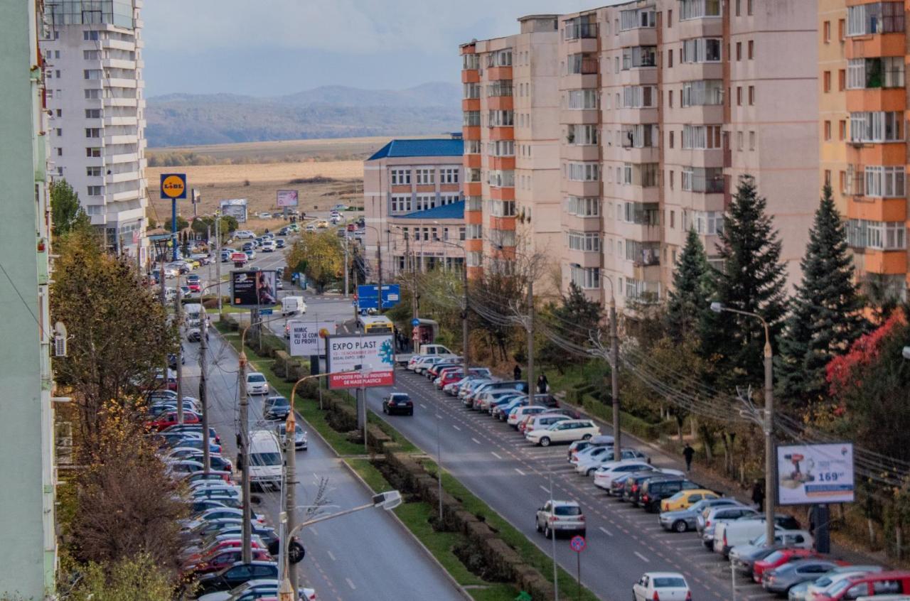 Butterfly Apartment Сібіу Екстер'єр фото